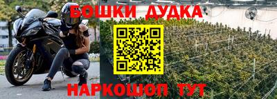 кокс Владимир