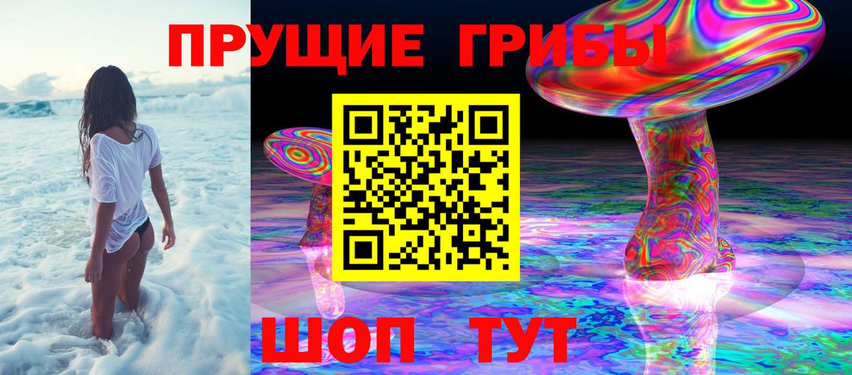 Псилоцибиновые грибы Psilocybe Белогорск