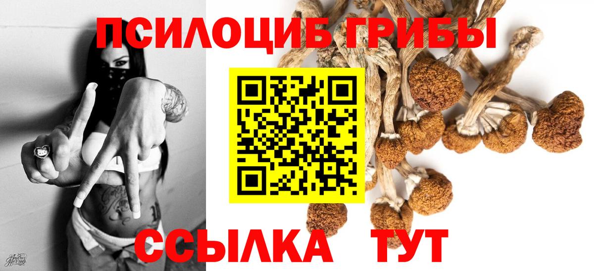 Белогорск  Псилоцибиновые грибы Psilocybine cubensis  Вход с VPN 